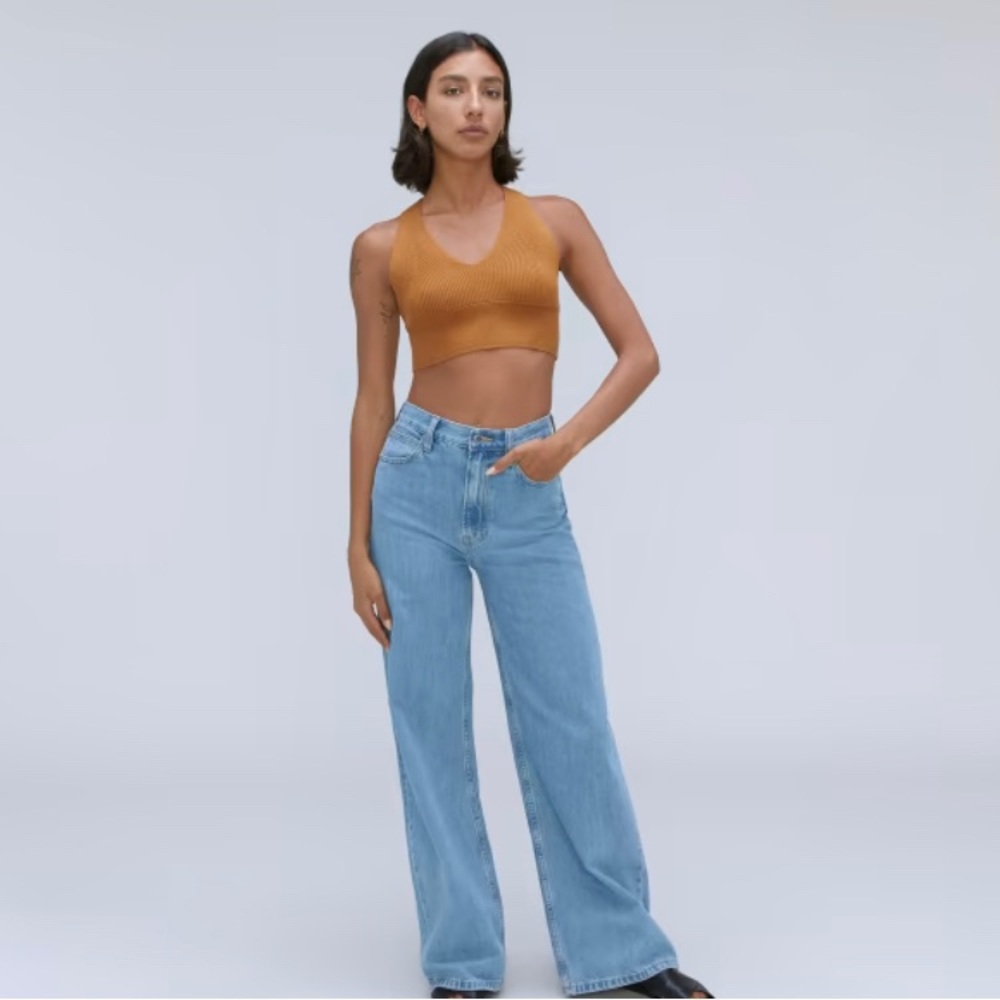 Everlane The Baggy Jean Moraine Size 25